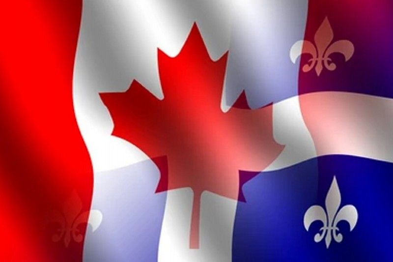 Les scorpions associés